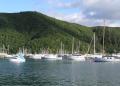 The Best Time To Visit Picton - MyDriveHoliday